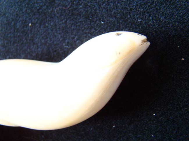 A beautiful Walrus ivory mounted cane with baleen inlays circa 1910 — image 3